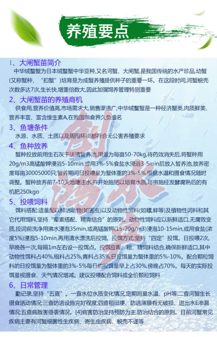 _新作詳情頁2 大閘蟹苗-6