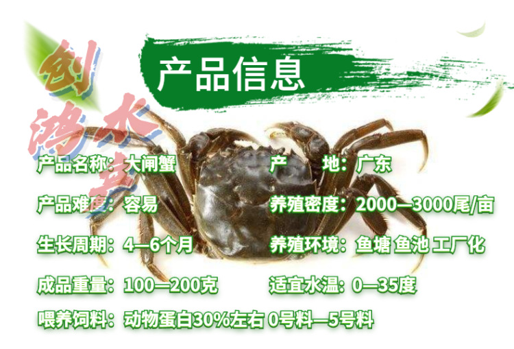 _新作詳情頁2 大閘蟹苗-4