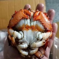 老虎蟹/凍旭蟹60/100g，100/200g，200/300g，300/400g，400/500g