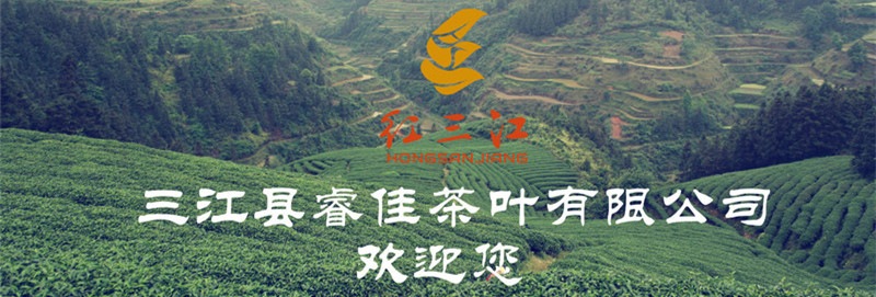 六號(hào)茶園睿佳茶葉歡迎您800寬度