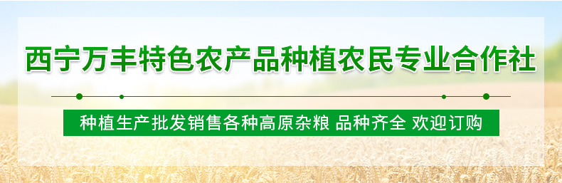 麥片詳情抬頭