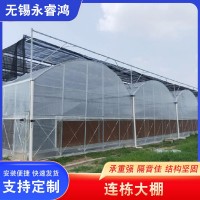 連棟大棚外遮陽內(nèi)保溫農(nóng)業(yè)大棚現(xiàn)貨廠家供應(yīng)園林花卉草莓連棟大棚