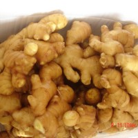 銷售風(fēng)干姜 廠家現(xiàn)貨銷售風(fēng)干姜 多規(guī)格可出口風(fēng)干姜 半風(fēng)干姜
