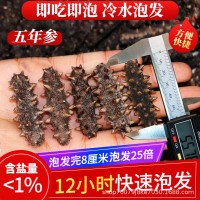 大連淡干純無鹽冷水速發(fā)海參五年參干參散裝送領導長輩實用禮品