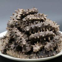大連淡干純無鹽冷水速發(fā)海參七年參干參散裝送領導長輩實用禮品