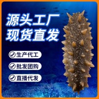 【包郵】工廠現(xiàn)貨不掛冰Q彈鮮食海參500g遼刺參大連即食海參批發(fā)