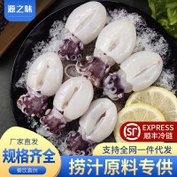 新鮮冷凍大號(hào)墨魚仔去皮去臟海捕墨魚仔批發(fā)商用