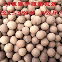 22年新貨6A5A大個桂圓干新鮮散裝20斤整箱 大桂圓源頭直供批發(fā)