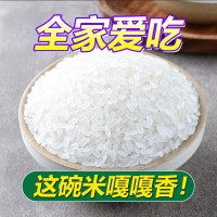 東北寒地大米當(dāng)季新米群艷長粒香米10斤包郵廠家批發(fā)一件代發(fā)