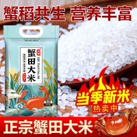 東北大米一件代發(fā)米蒂蟹田大米10斤當(dāng)季新米可代發(fā)可零售編織袋包