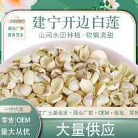 開邊白蓮子批發(fā)建寧蓮子福建蓮子 建寧龍威蓮子廠家 無芯散裝500g