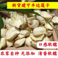 今年新貨特級(jí)建寧蓮子半邊蓮純手工白蓮子無(wú)芯去心白蓮500克干貨