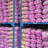 大量供應(yīng)山東大蒜，干蒜，鮮蒜、市場(chǎng)蒜。蒜米料，出口大蒜
