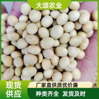 大豆批發(fā) 東北黑龍江 進(jìn)口俄羅斯澳大利亞 非轉(zhuǎn)基因 做豆腐豆?jié){