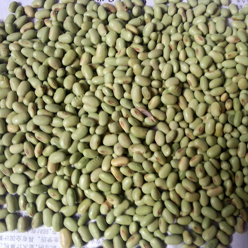 扁青豆