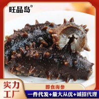 源頭廠家即食海參批發(fā) 鮮食大連刺參遼參海參禮盒500g非海參干貨