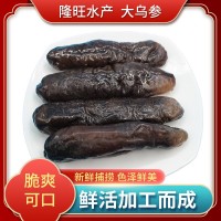 海參 源頭工廠專(zhuān)供酒店會(huì)所批發(fā)即食廠家批發(fā)一手貨源好品質(zhì) 海參