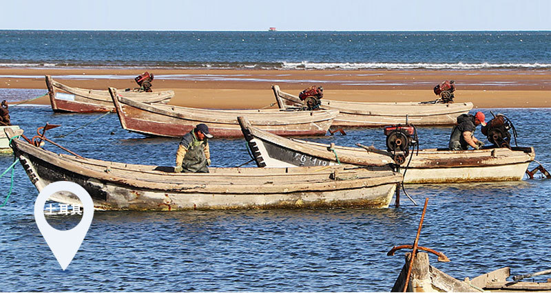土耳其海參