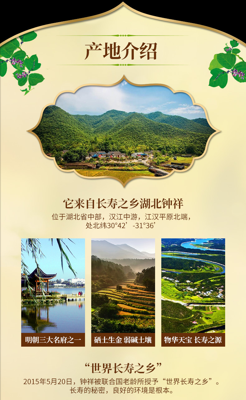 承天府葛粉水印袋裝詳情新印_01.jpg
