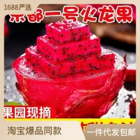 源頭供應(yīng)金都一號(hào)紅心火龍果新鮮水果包郵一件代發(fā)