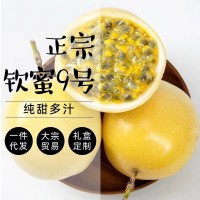 一件代發(fā)廣西欽蜜9號黃金百香果新鮮水果5斤3斤大果熱帶水果當季