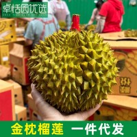 卓恬園 泰國(guó)金枕榴蓮 應(yīng)季新鮮時(shí)令香甜軟糯熱帶水果 核小肉多