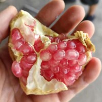 批發(fā)攀枝花甜紅石榴軟籽石榴多斤裝新鮮石榴包郵當(dāng)季整箱一件代發(fā)