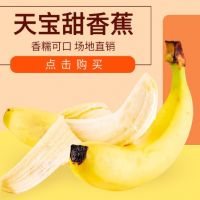 福建漳州天寶精品香蕉農(nóng)家現(xiàn)摘當(dāng)季無(wú)公害新鮮水果香蕉banana