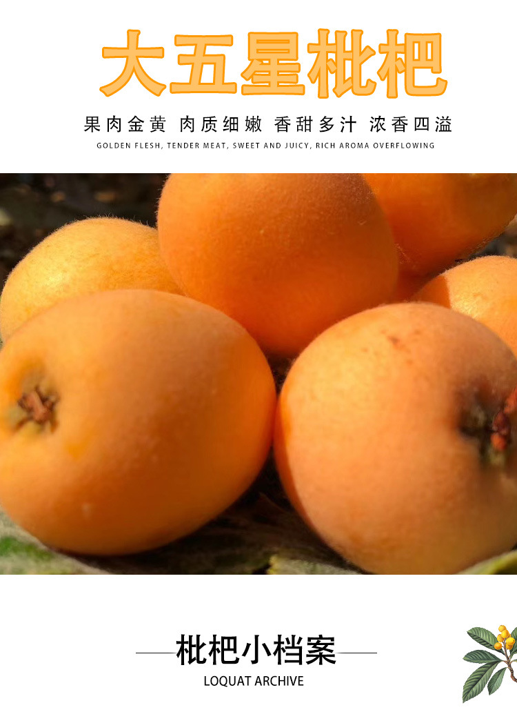 詳情頁_01.jpg