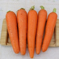 帶泥新鮮胡蘿卜 山東生吃蔬菜脆甜沙窩水果紅蘿卜寶寶輔食5斤