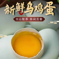 大碼綠殼烏雞蛋批發(fā)農(nóng)家林間散養(yǎng)蟲草五谷雞蛋 產(chǎn)地直發(fā)免費噴碼