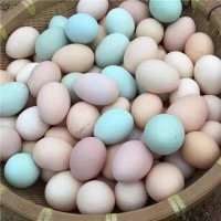 30枚大別山農(nóng)家散養(yǎng)五谷綠殼蟲草混合裝現(xiàn)撿現(xiàn)發(fā)免費噴碼土雞蛋
