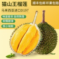 貓山王榴蓮D197液氮冷凍榴蓮批發(fā)馬來(lái)西亞進(jìn)口正宗水果順豐包郵