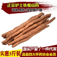 河南焦作溫縣壚土地鐵棍山藥新鮮懷山藥鐵桿淮山藥1件1斤 5斤一箱