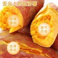紅薯批發(fā)香甜可口濟(jì)薯26沙地紅薯自種商用紅薯基地新鮮現(xiàn)挖蜜薯