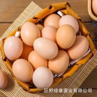 紅殼雞蛋新鮮雞蛋批發(fā)五谷飼養(yǎng)鮮雞蛋糧食喂養(yǎng)紅殼蛋山東廠家批發(fā)