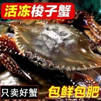 青島海鮮梭子蟹新鮮活凍野生大號(hào)螃蟹海蟹產(chǎn)地直銷