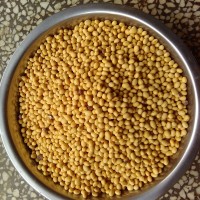 湖南黃豆產(chǎn)地低價(jià)批發(fā)農(nóng)家特產(chǎn)黃豆五谷雜糧散裝大豆黃豆量大價(jià)優(yōu)