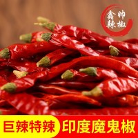 產(chǎn)地貨源印度椒魔鬼椒干紅辣椒巨辣特辣火鍋餐飲香鍋原材料500g
