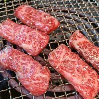 批發(fā)雪花牛肉菲力牛排原切牛肉厚切健身牛里脊新鮮牛扒西餐肉扒