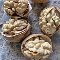 新貨新疆特產(chǎn)阿克蘇185紙皮核桃手剝大原味孕婦兒童堅(jiān)果500g
