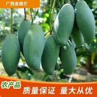芒果批發(fā)廣西金煌芒新鮮當季熱帶水果青芒果園直發(fā)