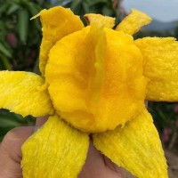 批發(fā)臺農芒果海南小臺芒新鮮芒果臺農直發(fā)芒果應當季水果現(xiàn)摘熱帶