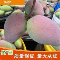 非樹上熟貴妃芒海南貴妃芒果新鮮水果當季裝紅金龍?zhí)鹦臒釒Т竺⒐? onmouseover=