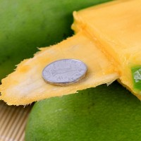 海南金煌芒當季新鮮熱帶水果甜心芒水仙芒青芒大芒果批發(fā)一件代發(fā)