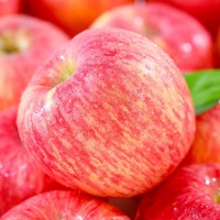 陜西洛川蘋果新鮮應(yīng)季水果脆甜紅富士蘋果丑洛川蘋果批發(fā)一件代發(fā)