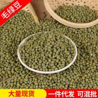 東北毛綠豆批發(fā)農(nóng)家綠豆小粒笨綠豆類新貨煮粥五谷雜糧量大從優(yōu)