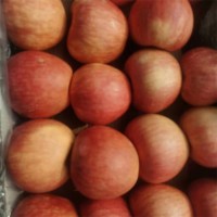 冷庫庫存紅富士蘋果 膜袋裝冰糖心果 時令大果 脆甜多汁 新鮮水果