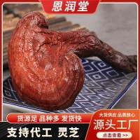 批發(fā)長(zhǎng)白山靈芝 中藥材紫靈芝散裝 東北靈芝個(gè)泡酒 源頭貨源批發(fā)