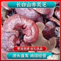 批發(fā)東北吉林長(zhǎng)白山赤靈芝散裝靈芝片煲湯泡酒送禮源頭直發(fā)中藥材